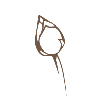 Please specify image url